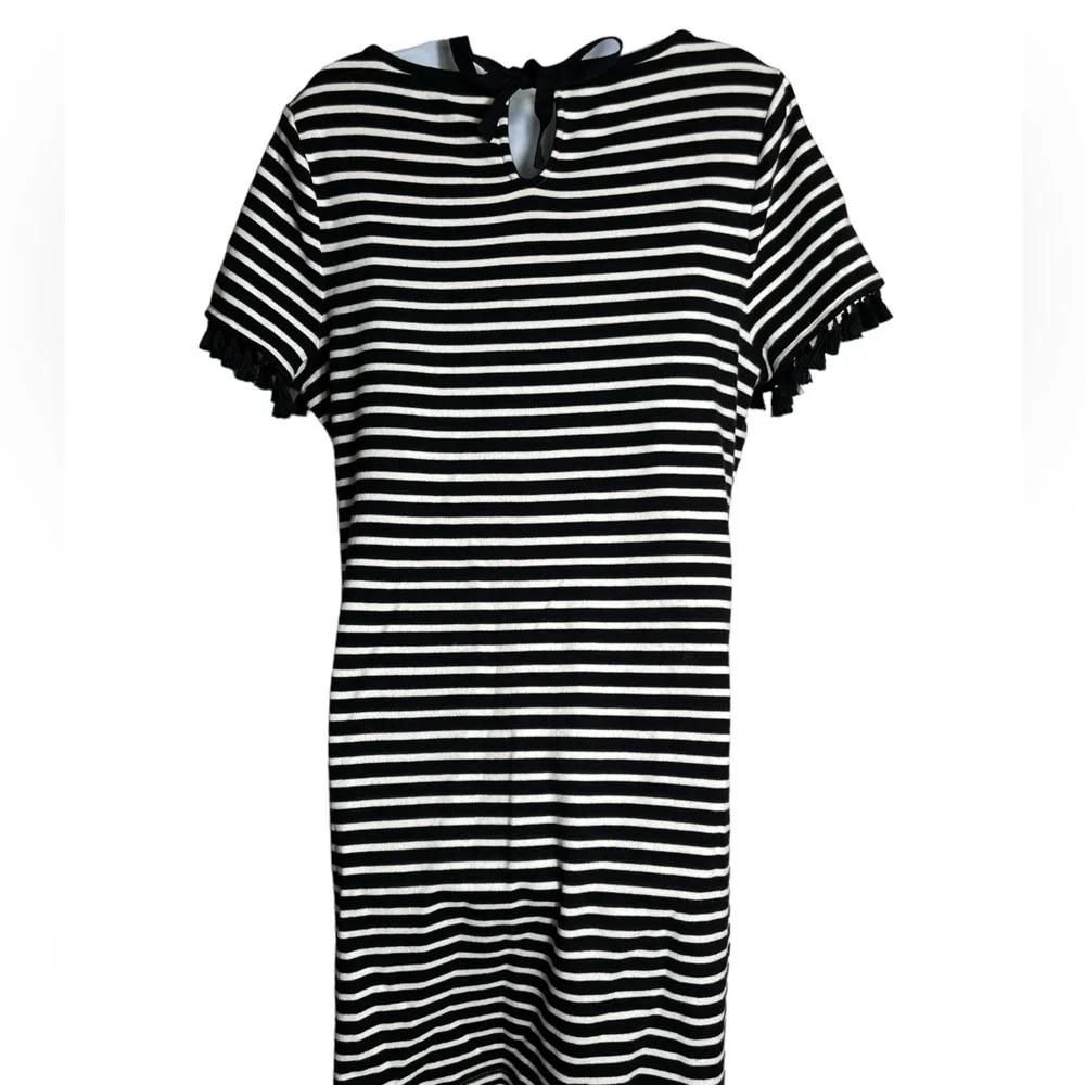 Talbots dress size XL petite or size 16 petite black & white cotton dress 🖤🤍🖤